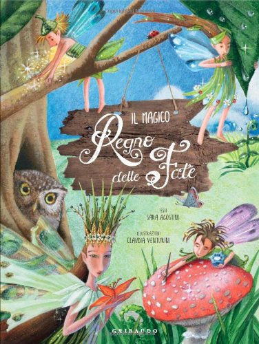Il magico regno delle fate. Ediz. illustrata book