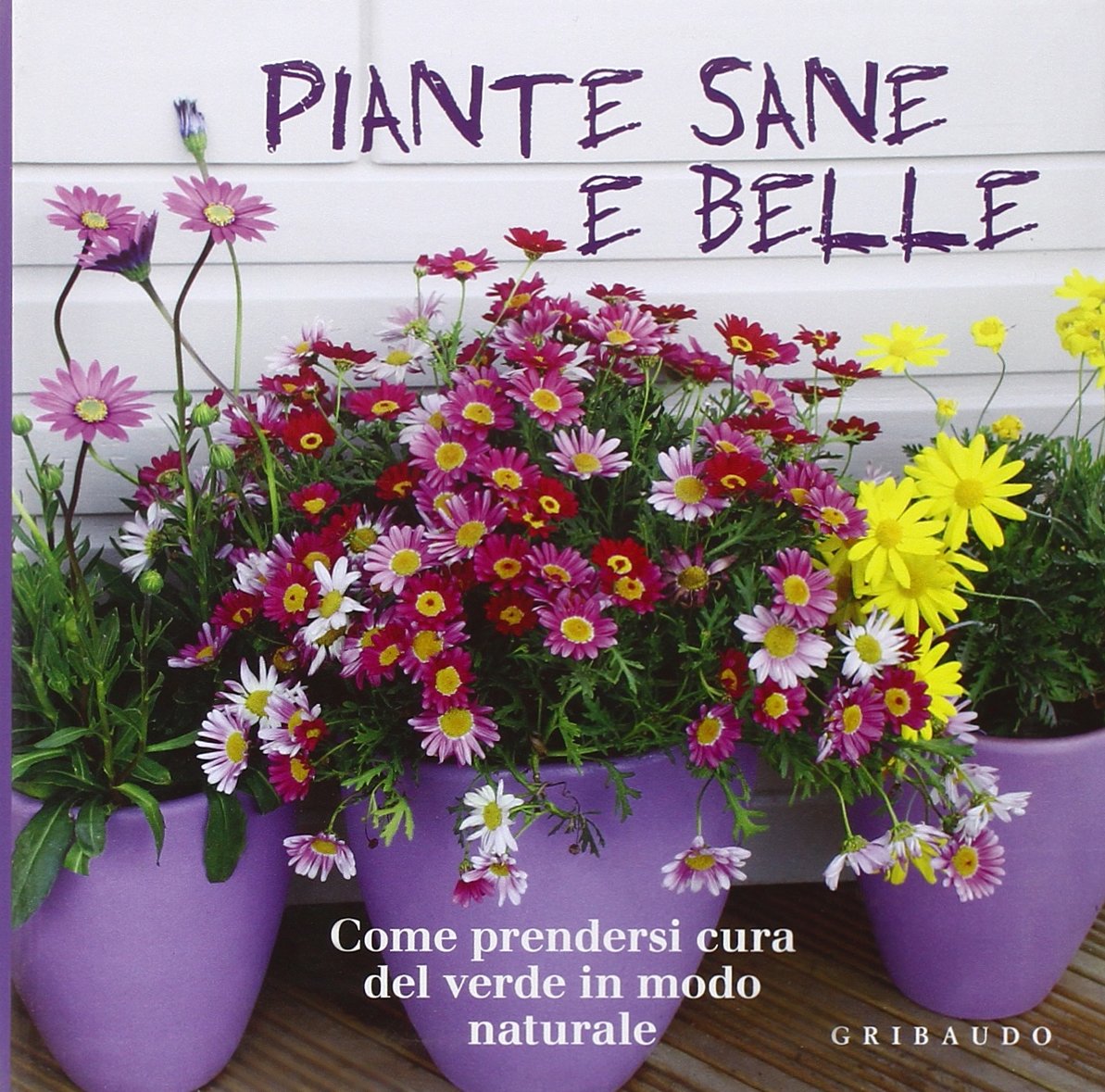 Piante sane e belle. Come prendersi cura del verde in modo naturale. Ediz. illustrata (Grandi libri del verde) Garden & Plants