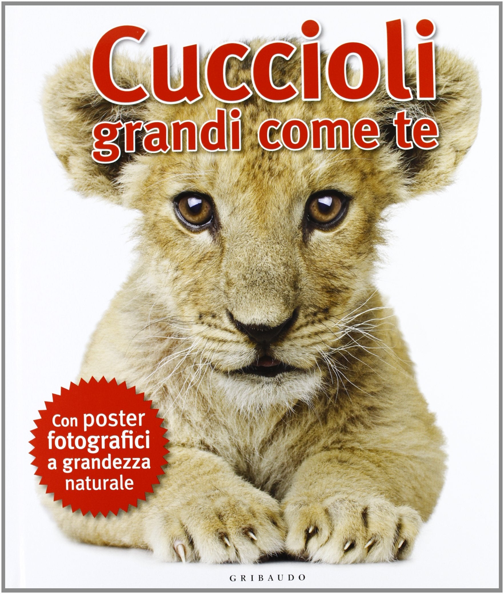 Cuccioli grandi come te. Ediz. illustrata book