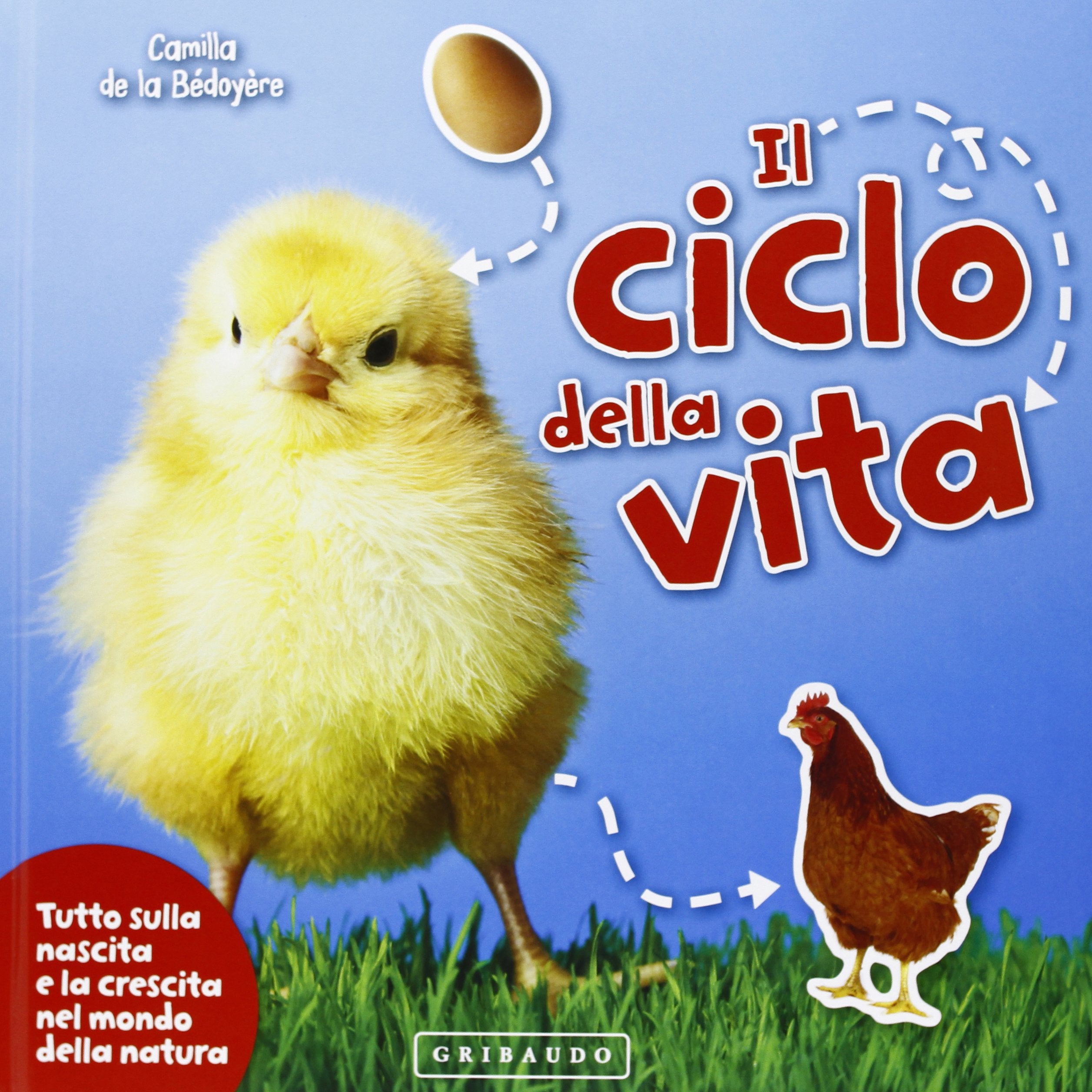 Il ciclo della vita. Tutto sulla nascita e la crescita nel mondo della natura. Ediz. illustrata book