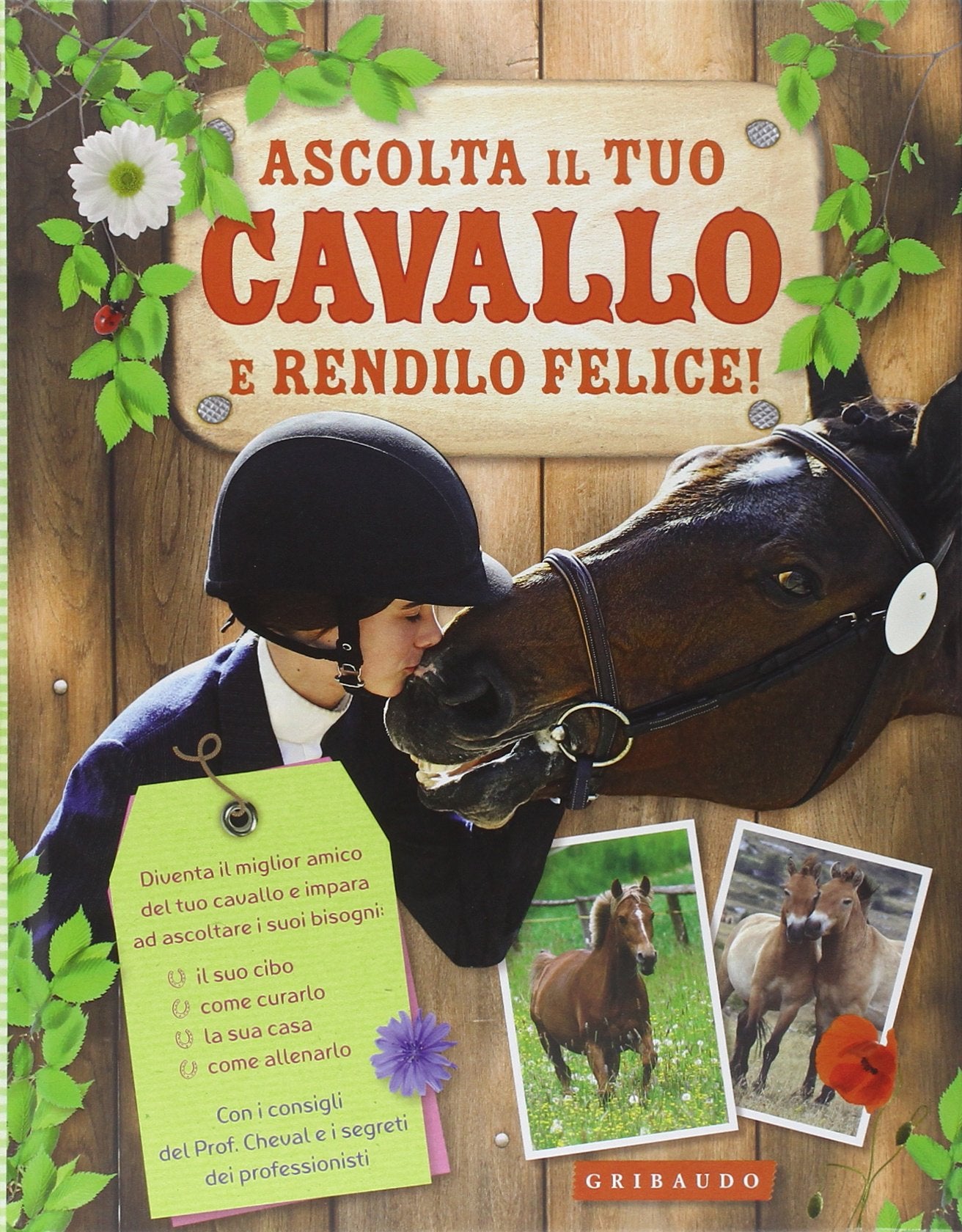 Ascolta il tuo cavallo e rendilo felice! (Imparare per gioco) Non-fiction