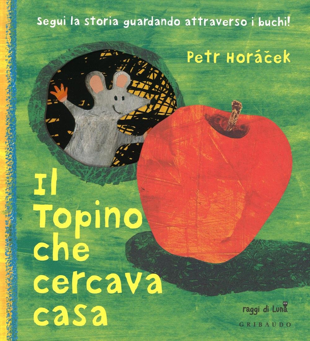 Il topino che cercava casa book
