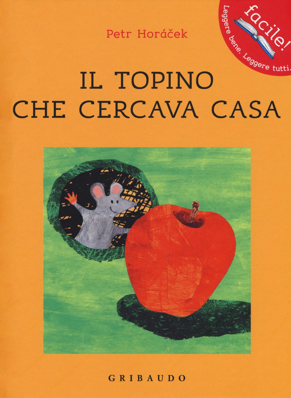 Il topino che cercava casa book