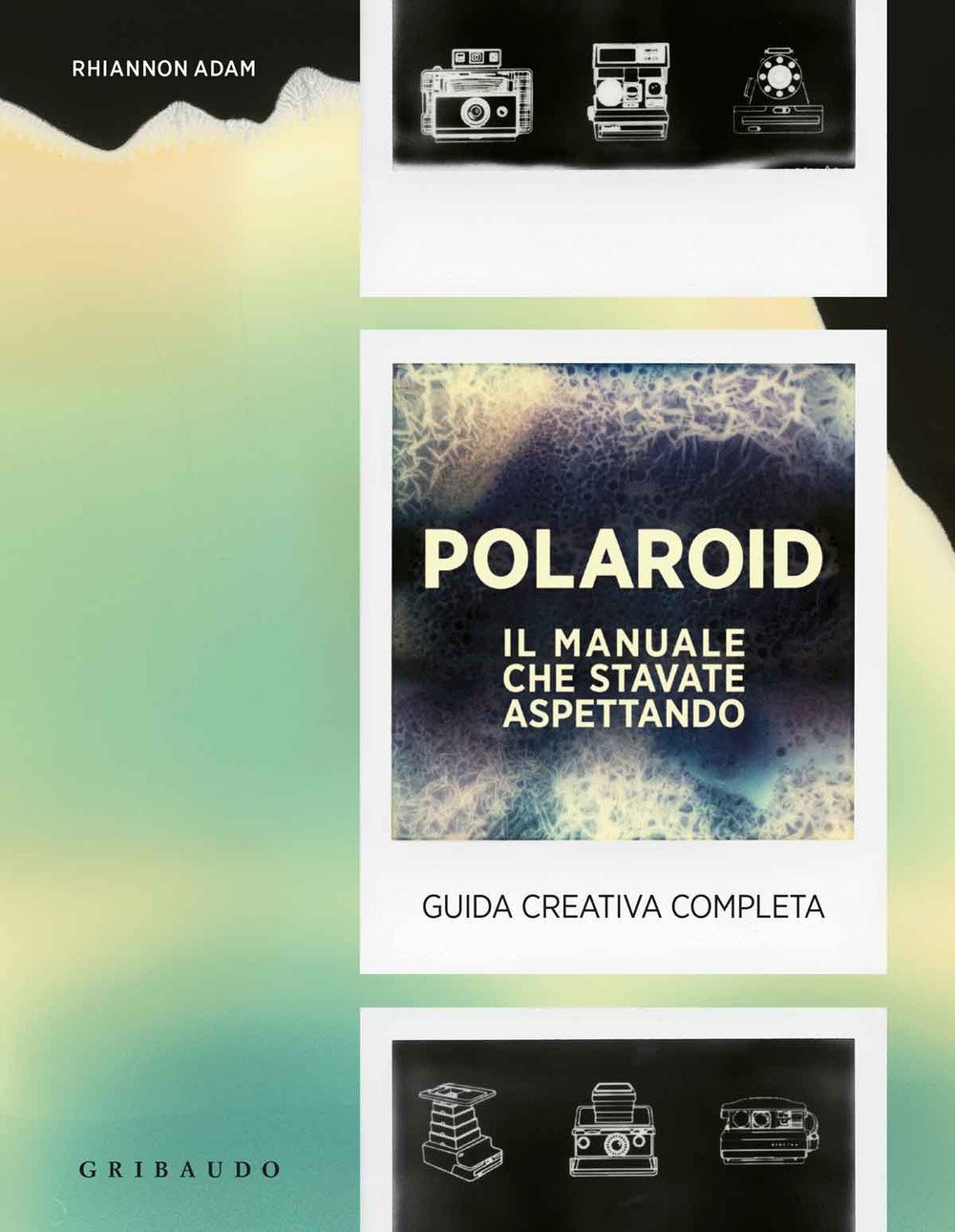 Polaroid. Il manuale che stavate aspettando. Guida creativa completa book