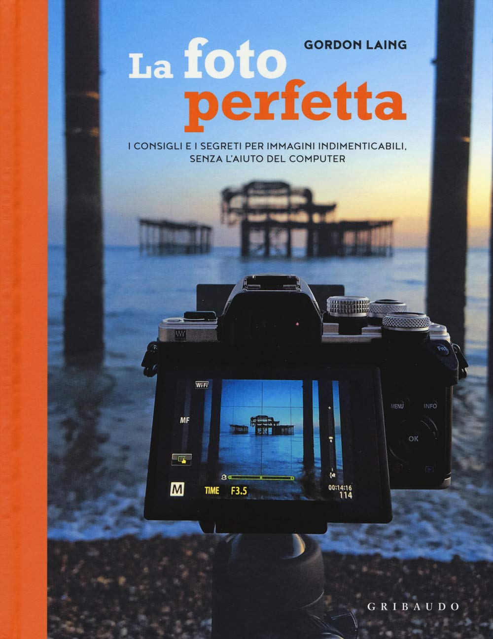 La foto perfetta. I consigli e i segreti per immagini indimenticabili, senza l'aiuto del computer book