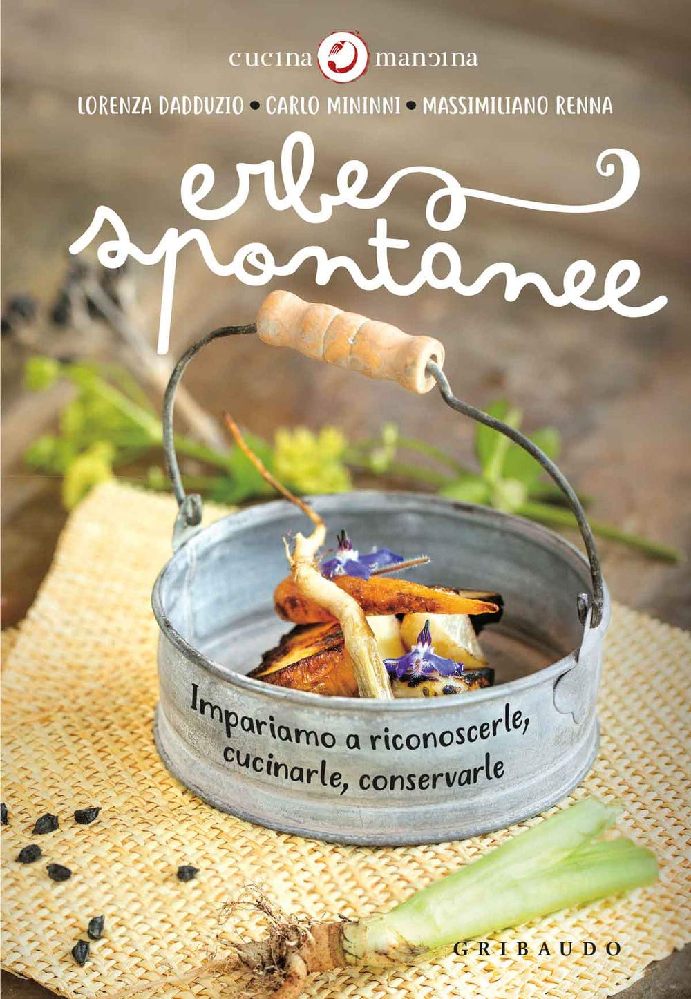 Erbe spontanee. Impariamo a riconoscerle, cucinarle, conservarle book