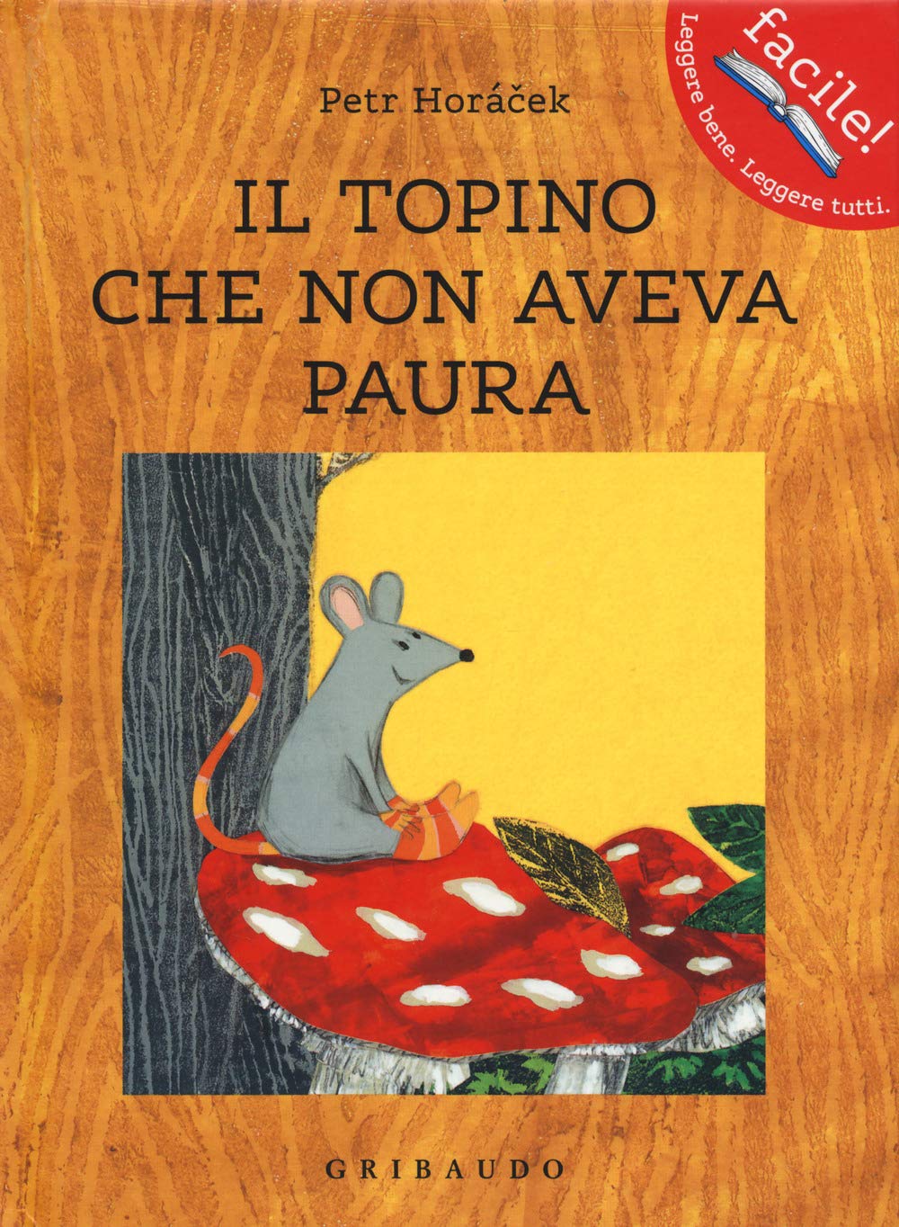 Il topino che non aveva paura. Ediz. a colori book