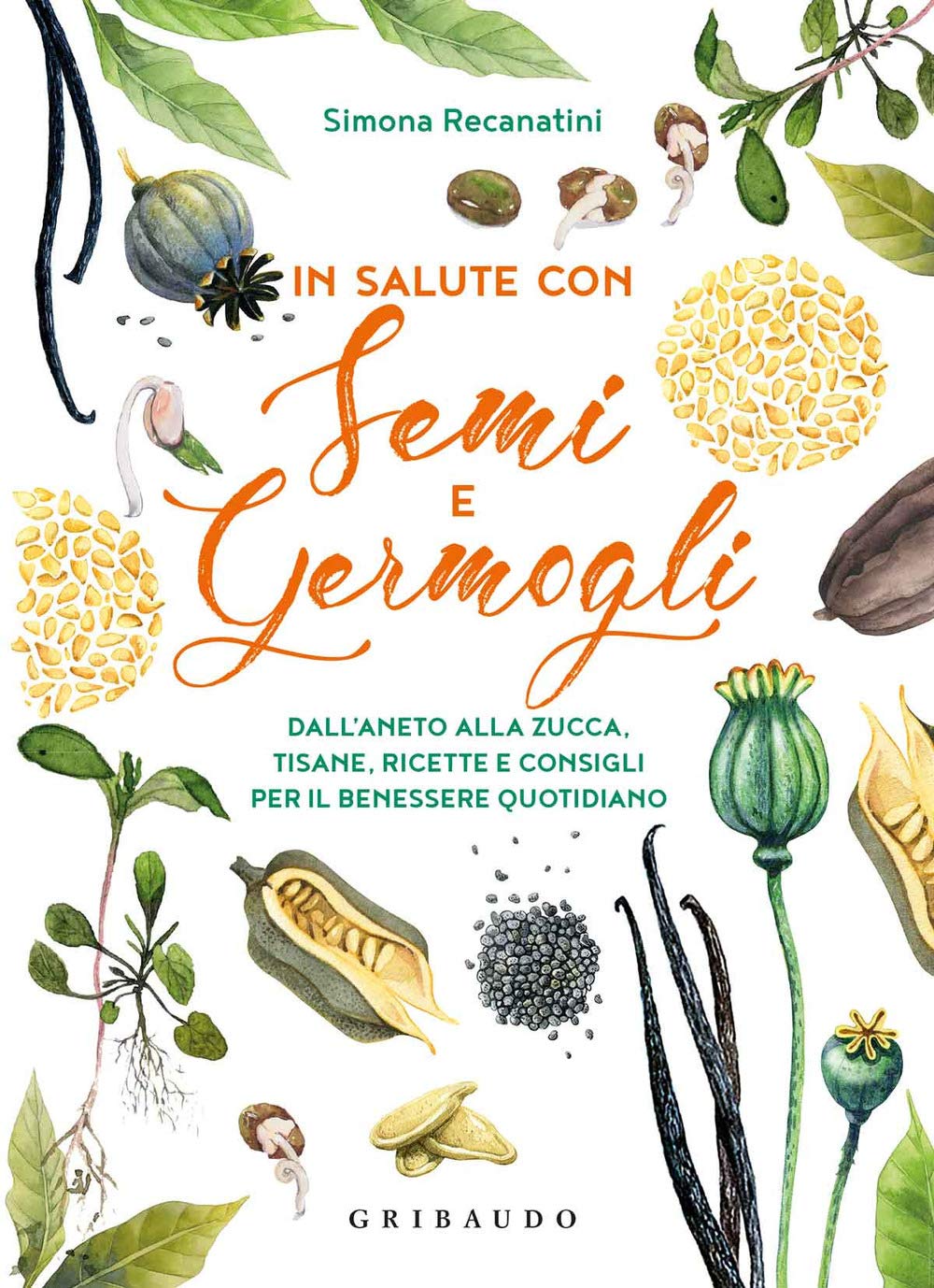 In salute con semi e germogli. Dall'aneto alla zucca, tisane, ricette e consigli per il benessere quotidiano book