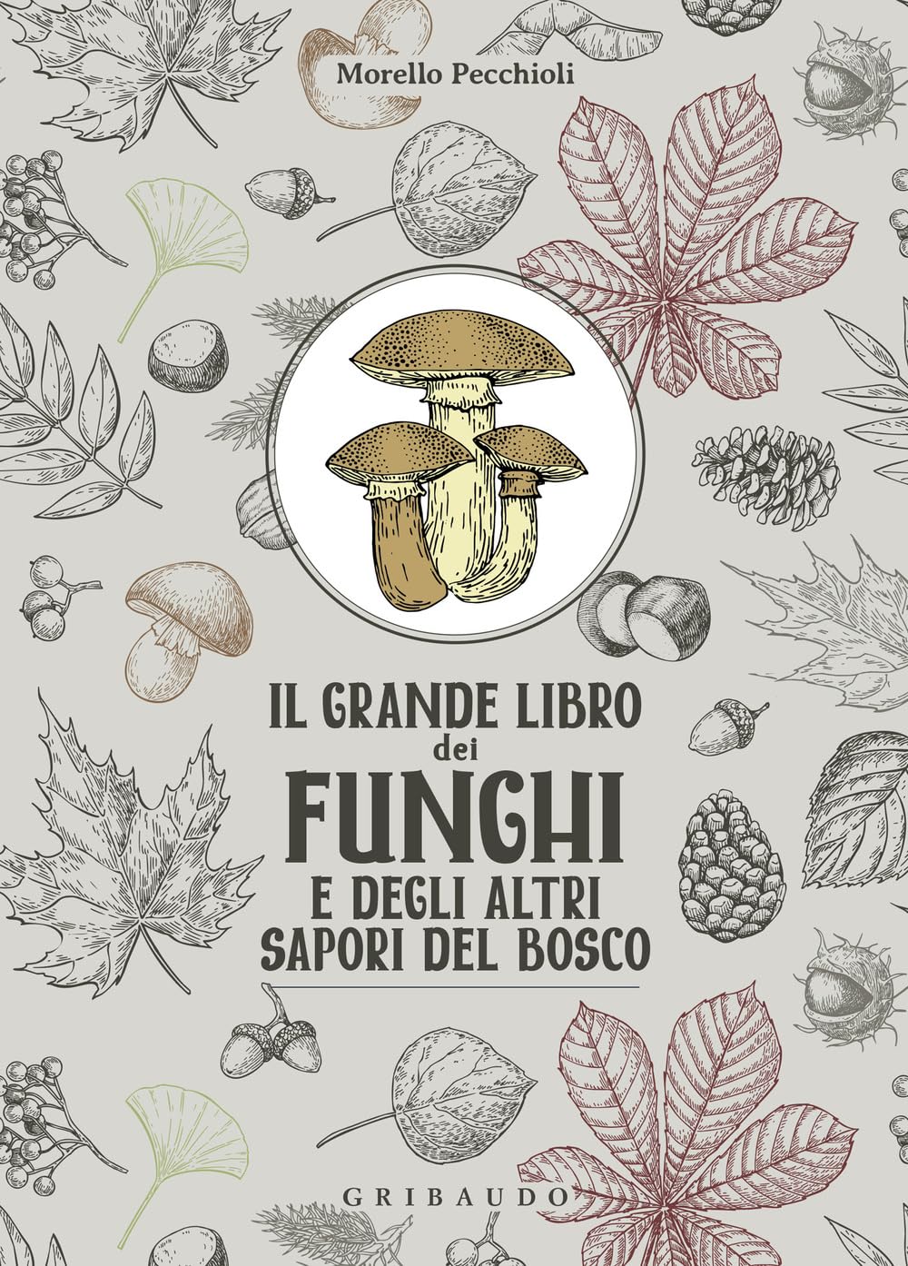 Il grande libro dei funghi e degli altri sapori del bosco book