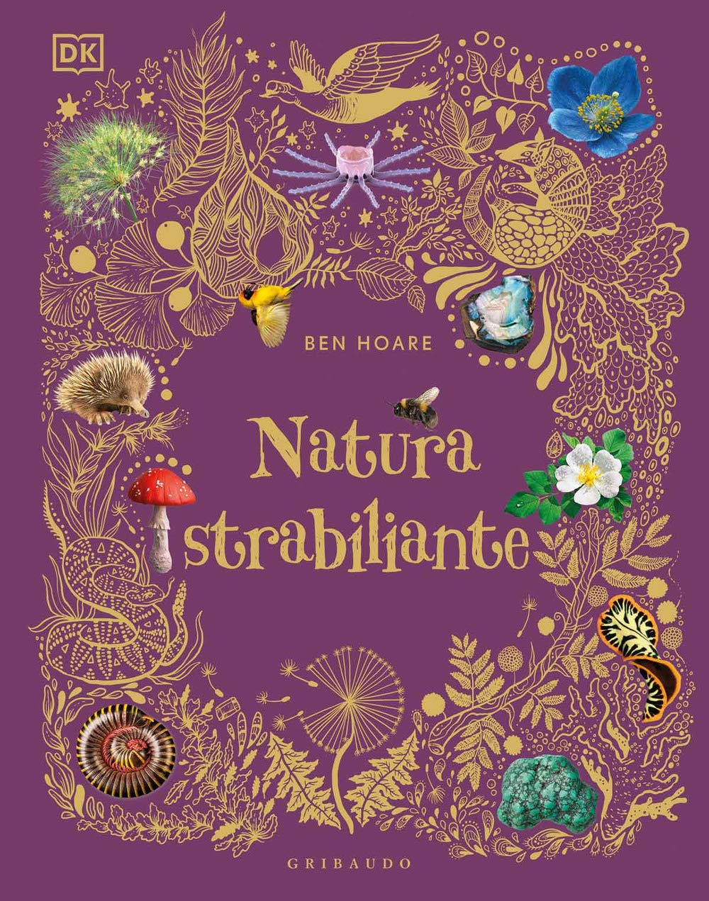 Natura strabiliante (Enciclopedia per ragazzi) Non-fiction