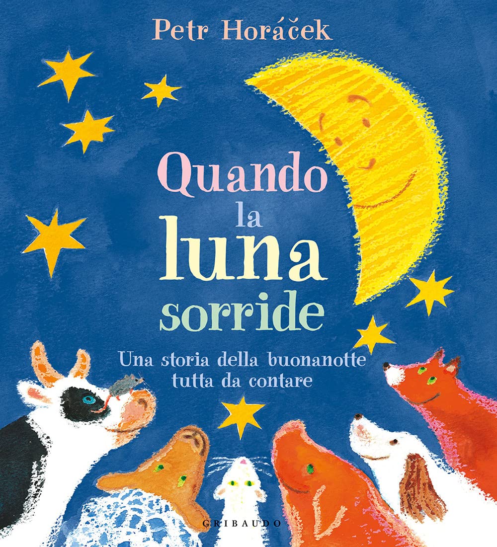 Quando la luna sorride. Una storia della buonanotte tutta da contare. Ediz. a colori book
