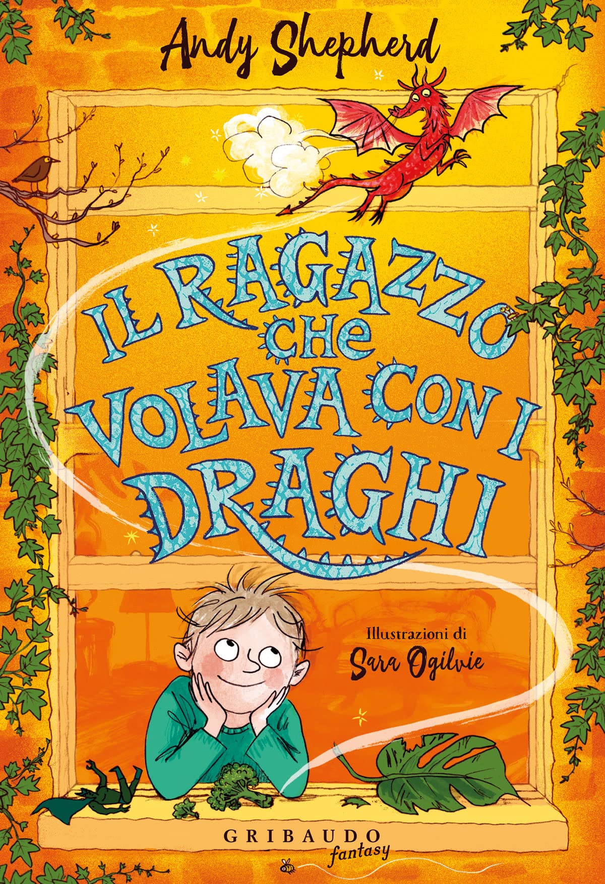 Il ragazzo che volava con i draghi book