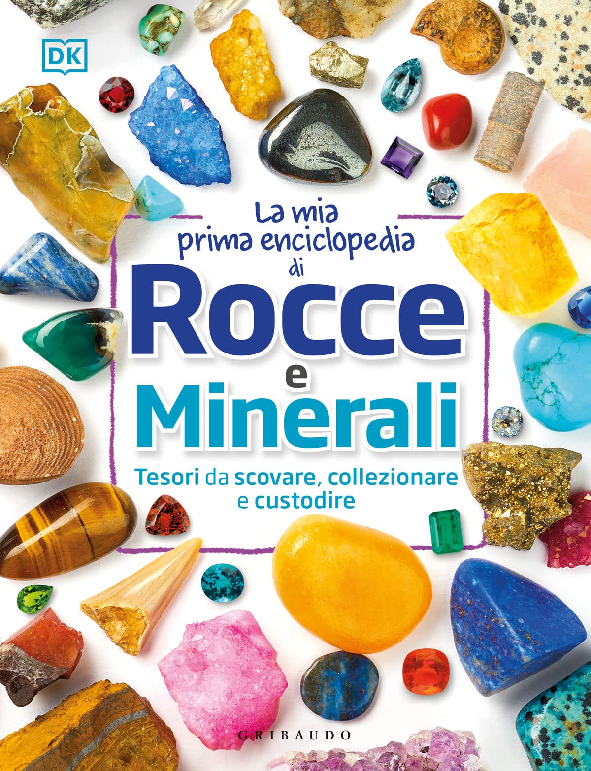 La mia prima enciclopedia di rocce e minerali. Tesori da scovare, collezionare e custodire. Ediz. a colori book