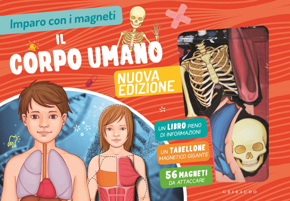 Il corpo umano. Imparo con i magneti. Con 56 magneti. Con tabellone book