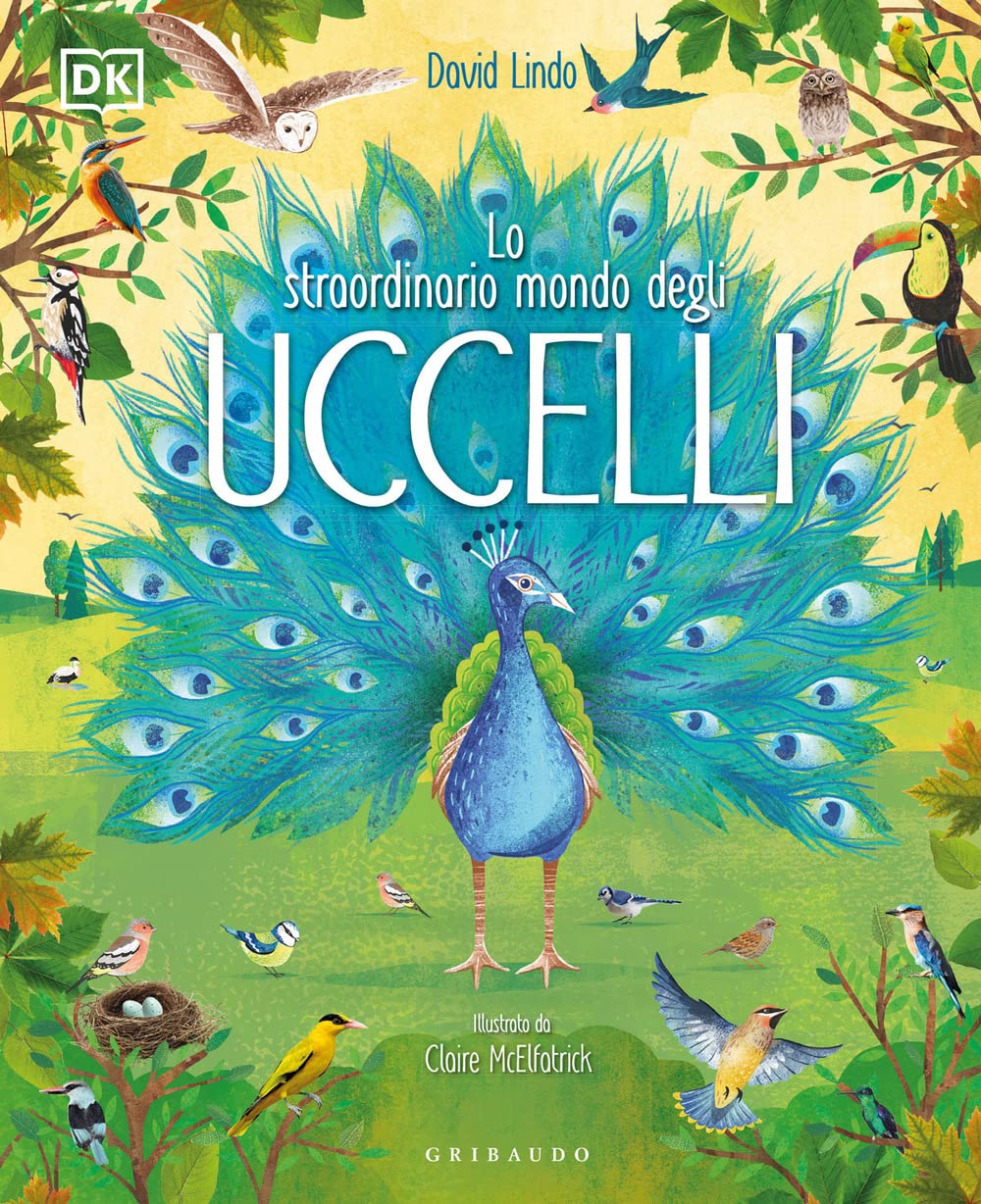 Lo straordinario mondo degli uccelli. Ediz. a colori book