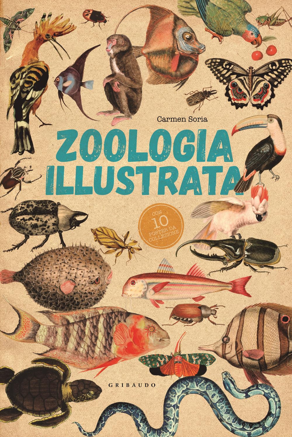 Zoologia illustrata. Con 10 poster book