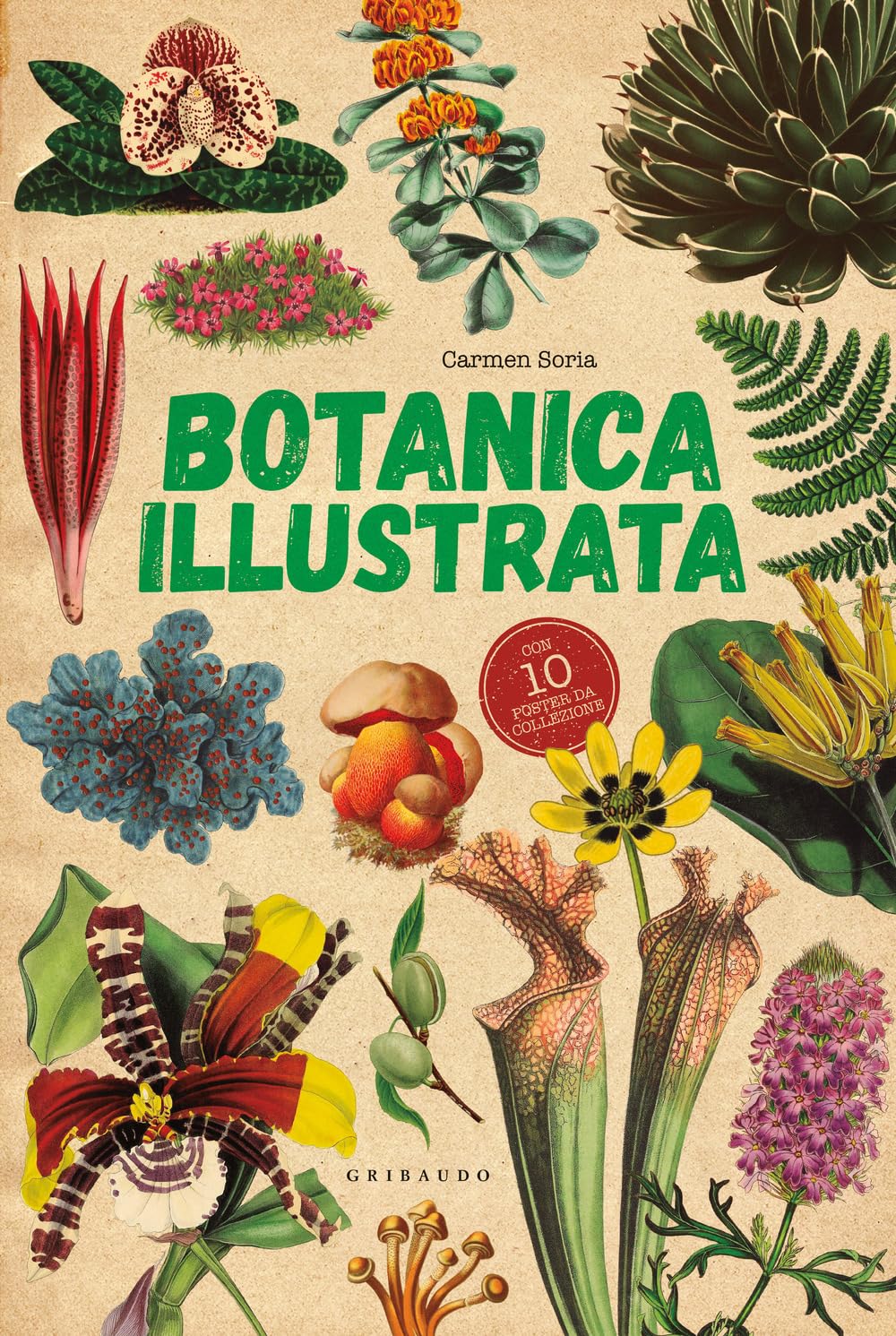 Botanica illustrata. Con 10 poster book