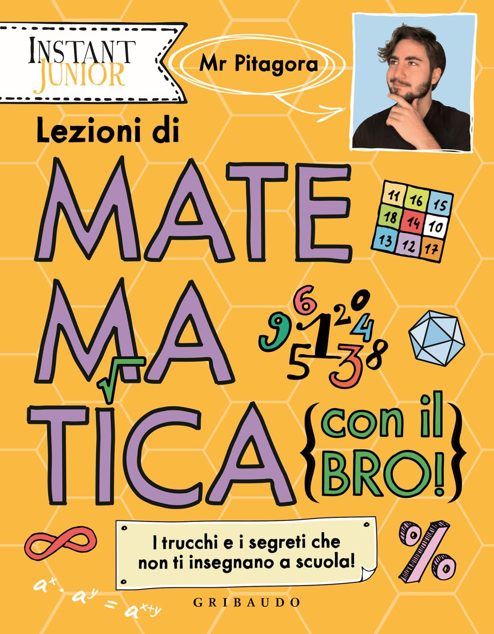 Lezioni di matematica (con il bro!). I trucchi e i segreti che non ti insegnano a scuola! book