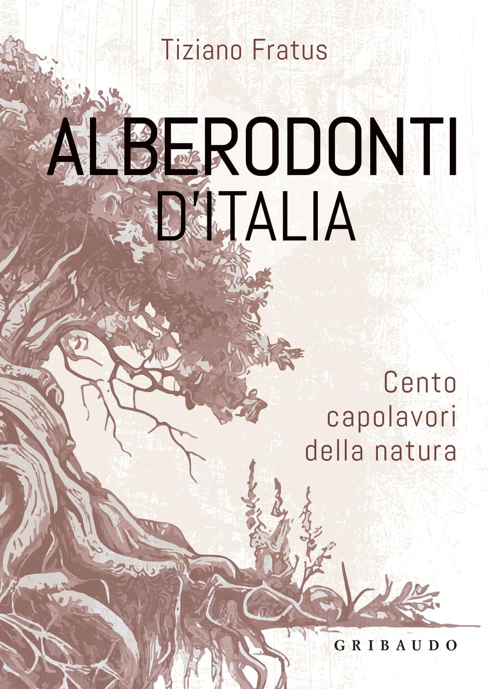 Alberodonti d'Italia. Cento capolavori della natura. Ediz. illustrata book