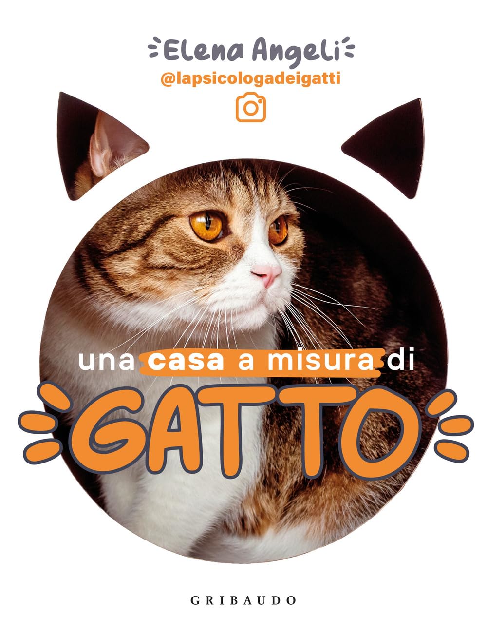 Una casa a misura di gatto book