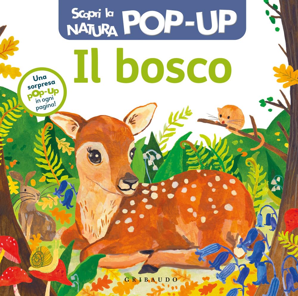 Il bosco. Scopri la natura pop up. Ediz. a colori (Osservo e imparo) Non-fiction