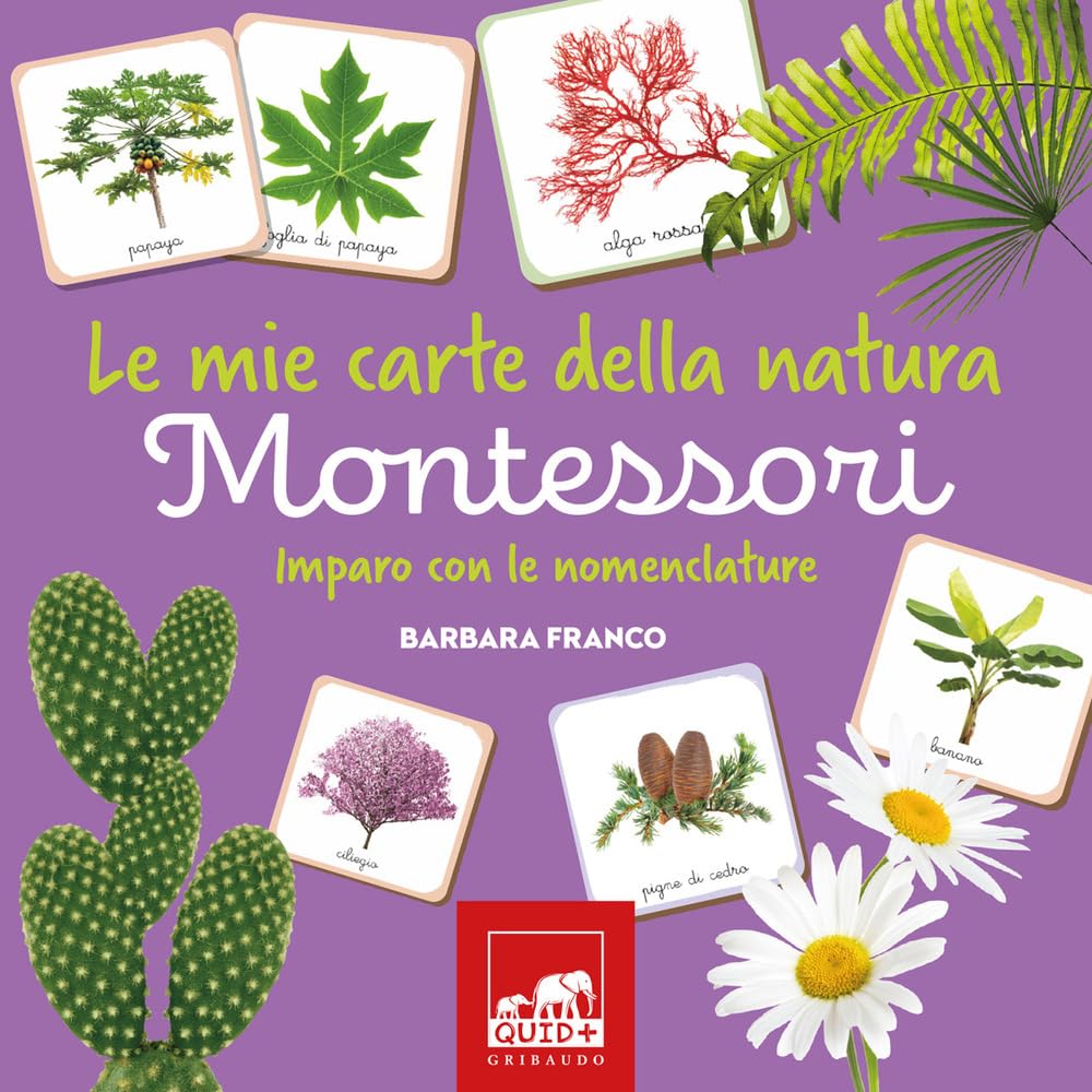 Le mie carte della natura Montessori. Imparo con le nomenclature. Ediz. a colori. Con Carte (Quid+) Non-fiction