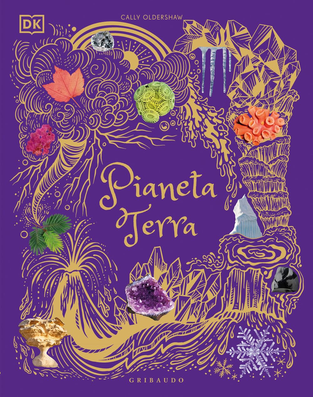 Pianeta Terra. Ediz. illustrata (Enciclopedia per ragazzi) Non-fiction