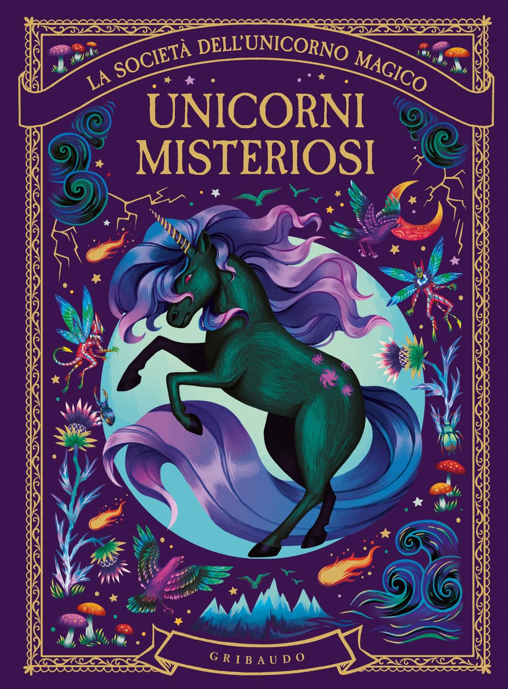 Unicorni misteriosi. La società dell'unicorno magico book