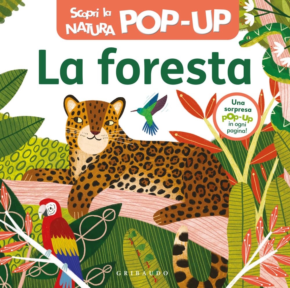 La foresta. Scopri la natura pop-up. Ediz. a colori book