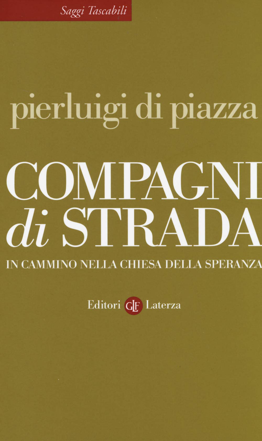 Compagni di strada. In cammino nella chiesa della speranza book