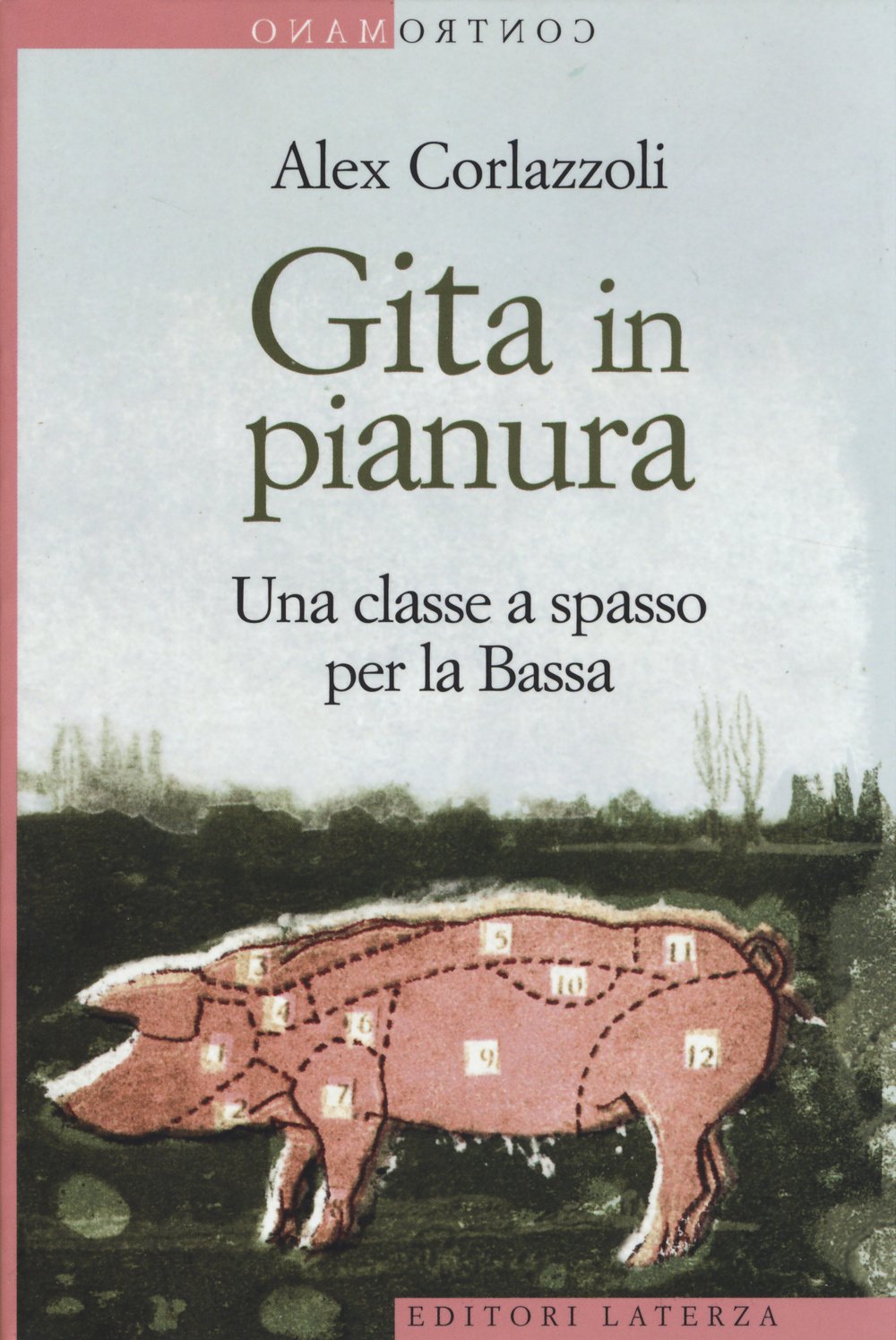 Gita in pianura. Una classe a spasso per la Bassa (Contromano) Books