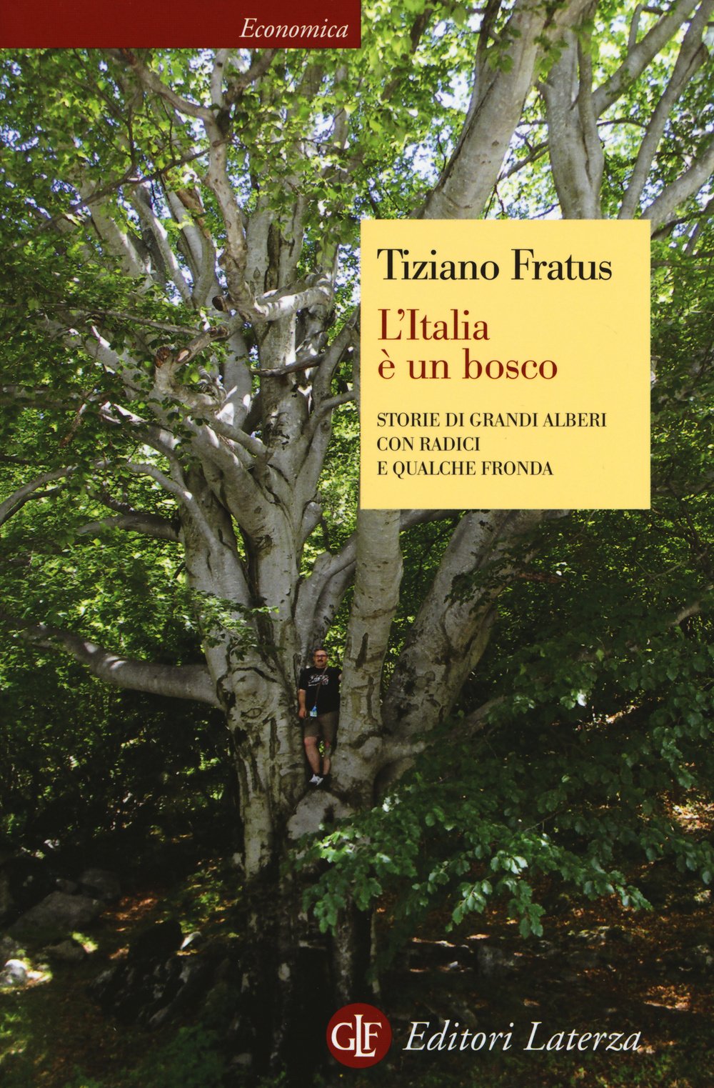 L'Italia è un bosco. Storie di grandi alberi con radici e qualche fronda book