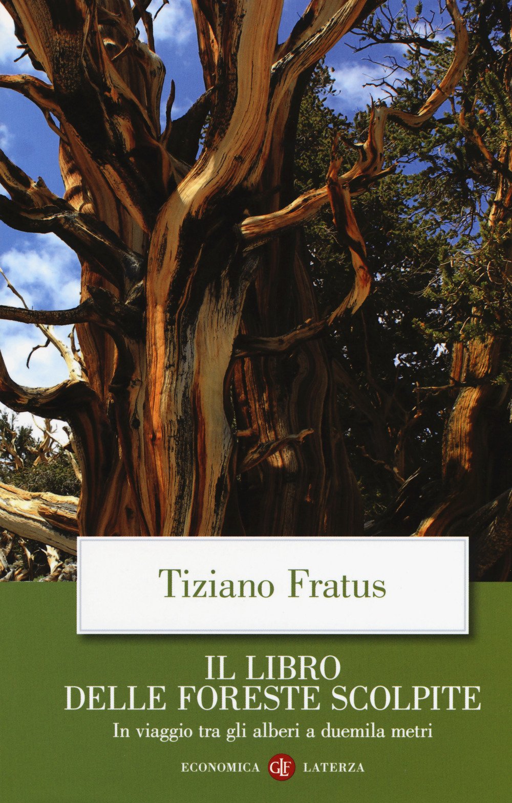 Il libro delle foreste scolpite. In viaggio tra gli alberi a duemila metri Leisure, Home & Garden