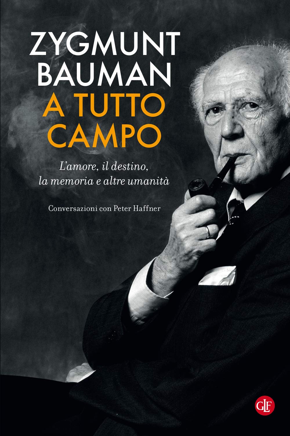 A tutto campo. L'amore, il destino, la memoria e altre umanità. Conversazioni con Peter Haffner Philosophy