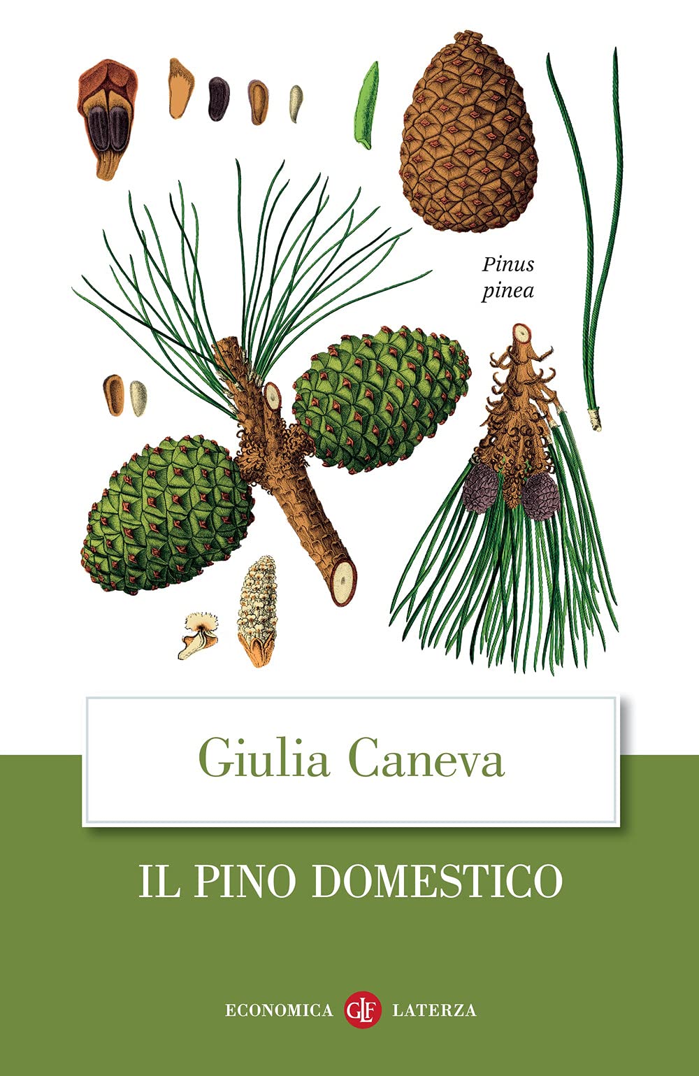 Il pino domestico (Economica Laterza) Leisure, Home & Garden