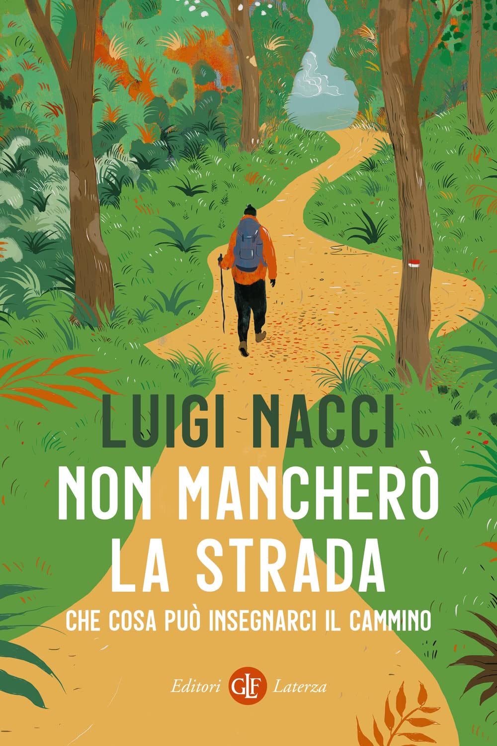 Non mancherò la strada. Che cosa può insegnarci il cammino (I Robinson. Letture) Leisure, Home & Garden