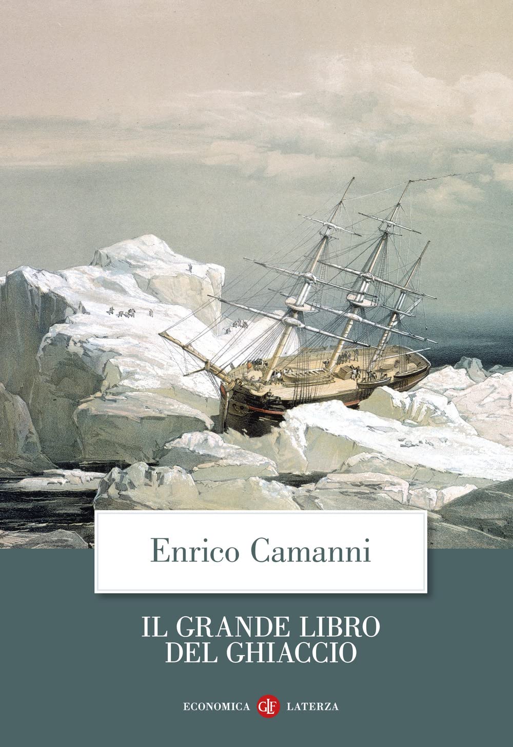 Il grande libro del ghiaccio book
