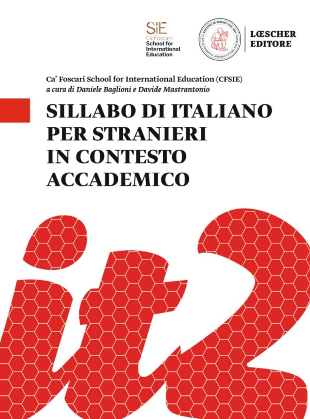 Sillabo di italiano per stranieri in contesto accademico book