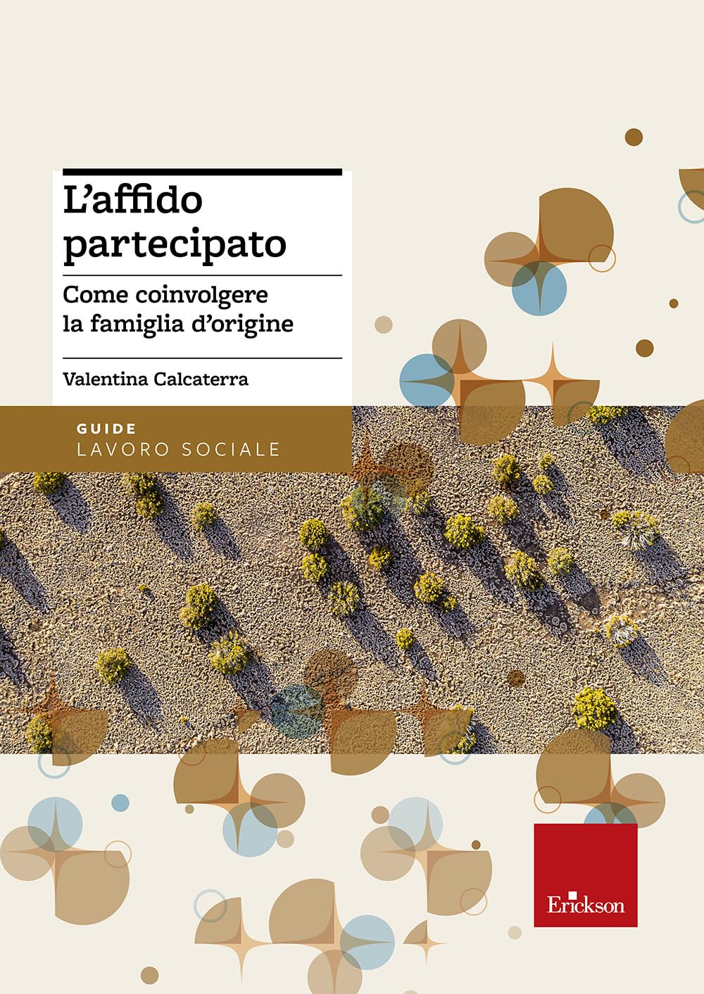 L'affido partecipato. Come coinvolgere la famiglia d'origine book