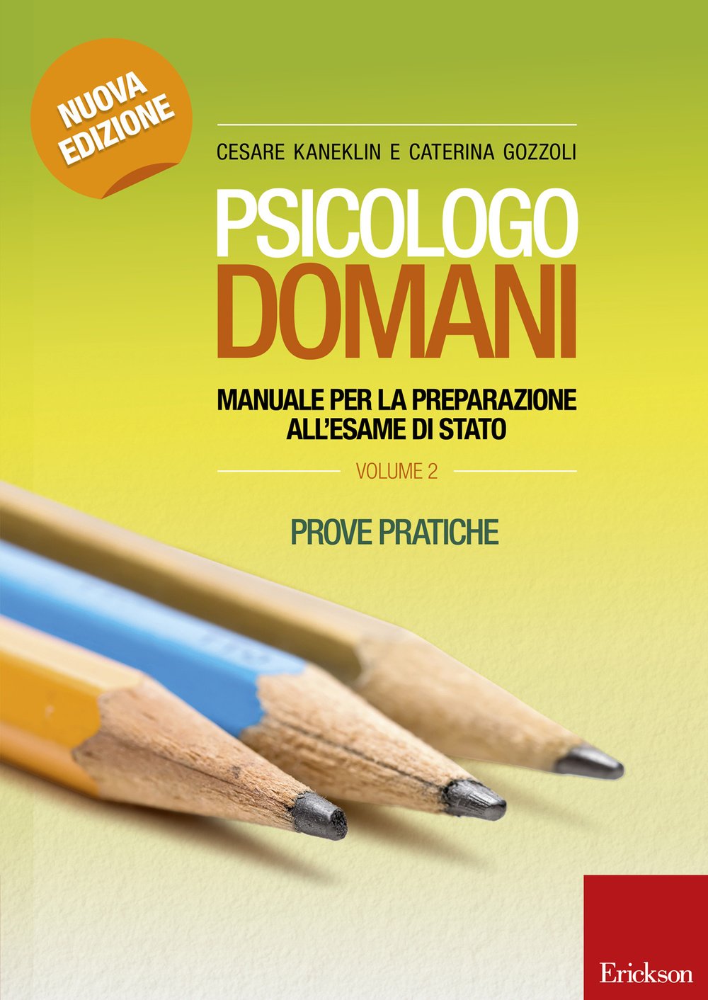Psicologo domani. Manuale per la preparazione all'esame di Stato. Prove pratiche (Vol. 2) (Psicologia) Study Guides