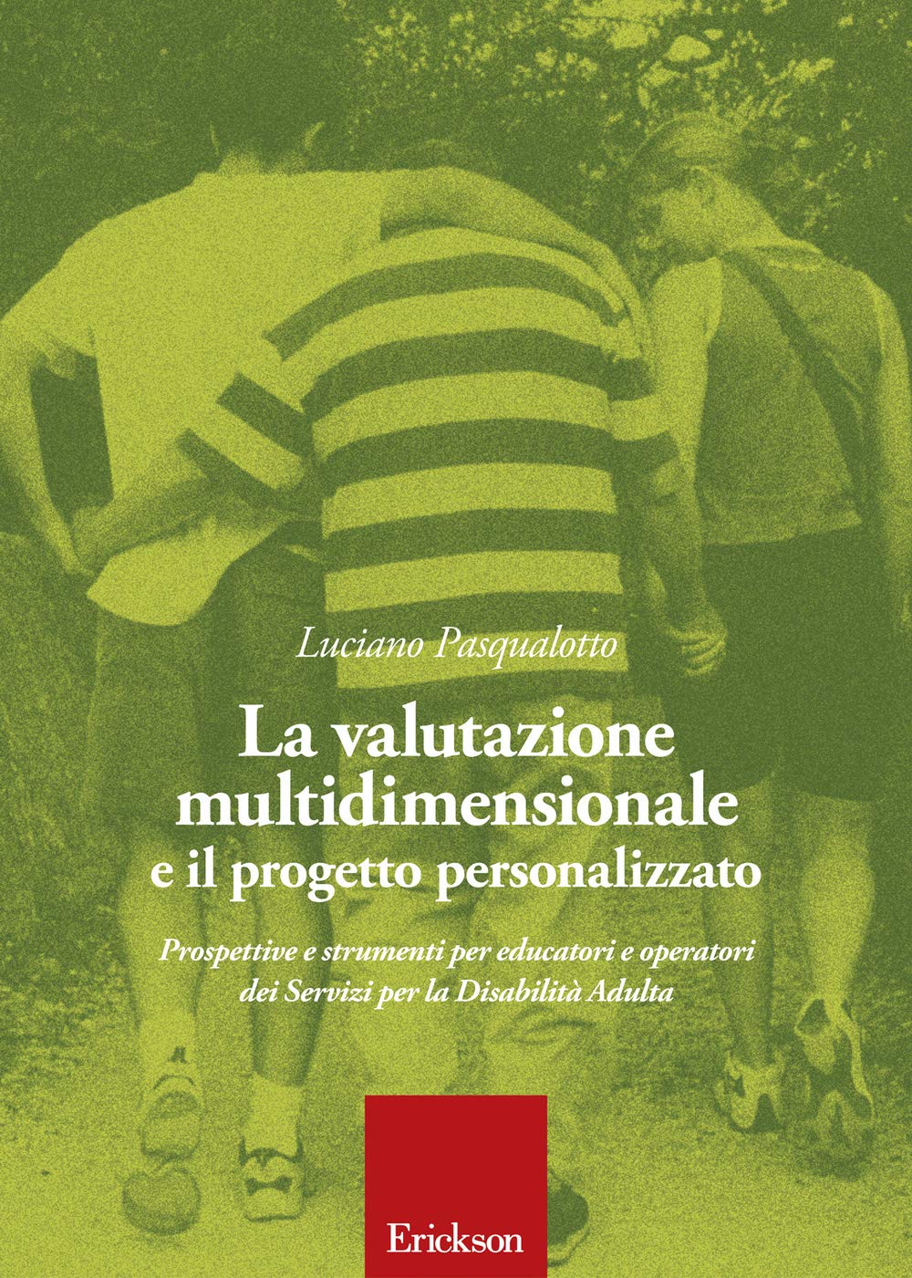 La valutazione multidimensionale e il progetto personalizzato book