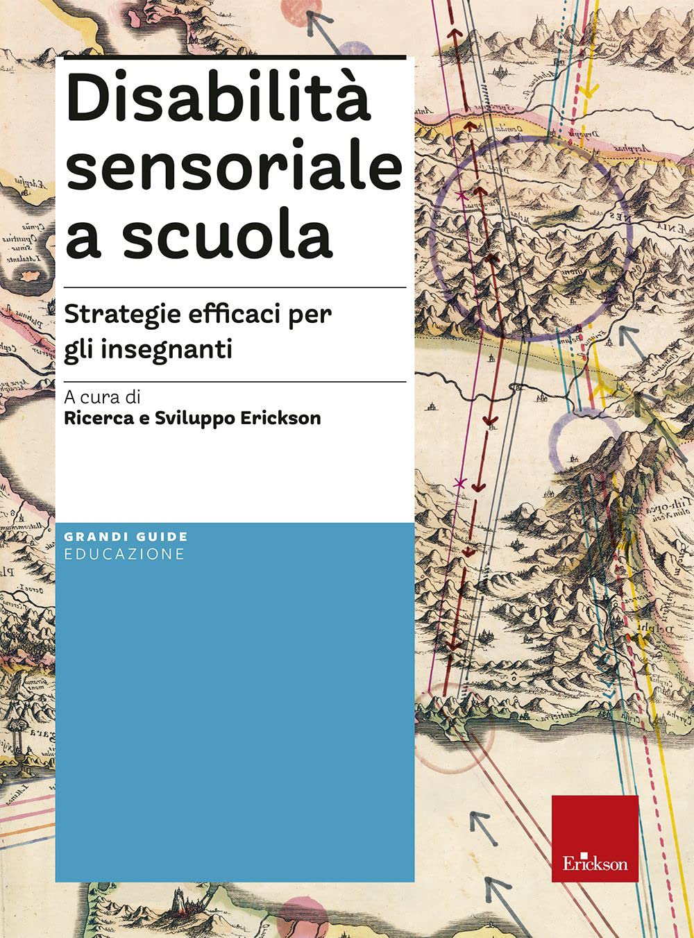 Disabilità sensoriale a scuola. Strategie efficaci per gli insegnanti. Con aggiornamento on line Learning & Reference