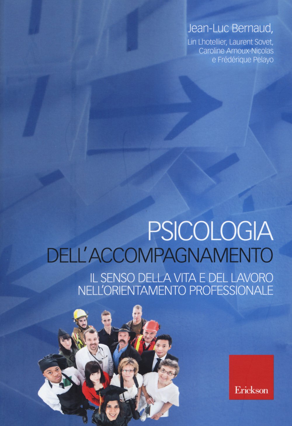 Psicologia dell'accompagnamento. Il senso della vita e del lavoro nell'orientamento professionale book