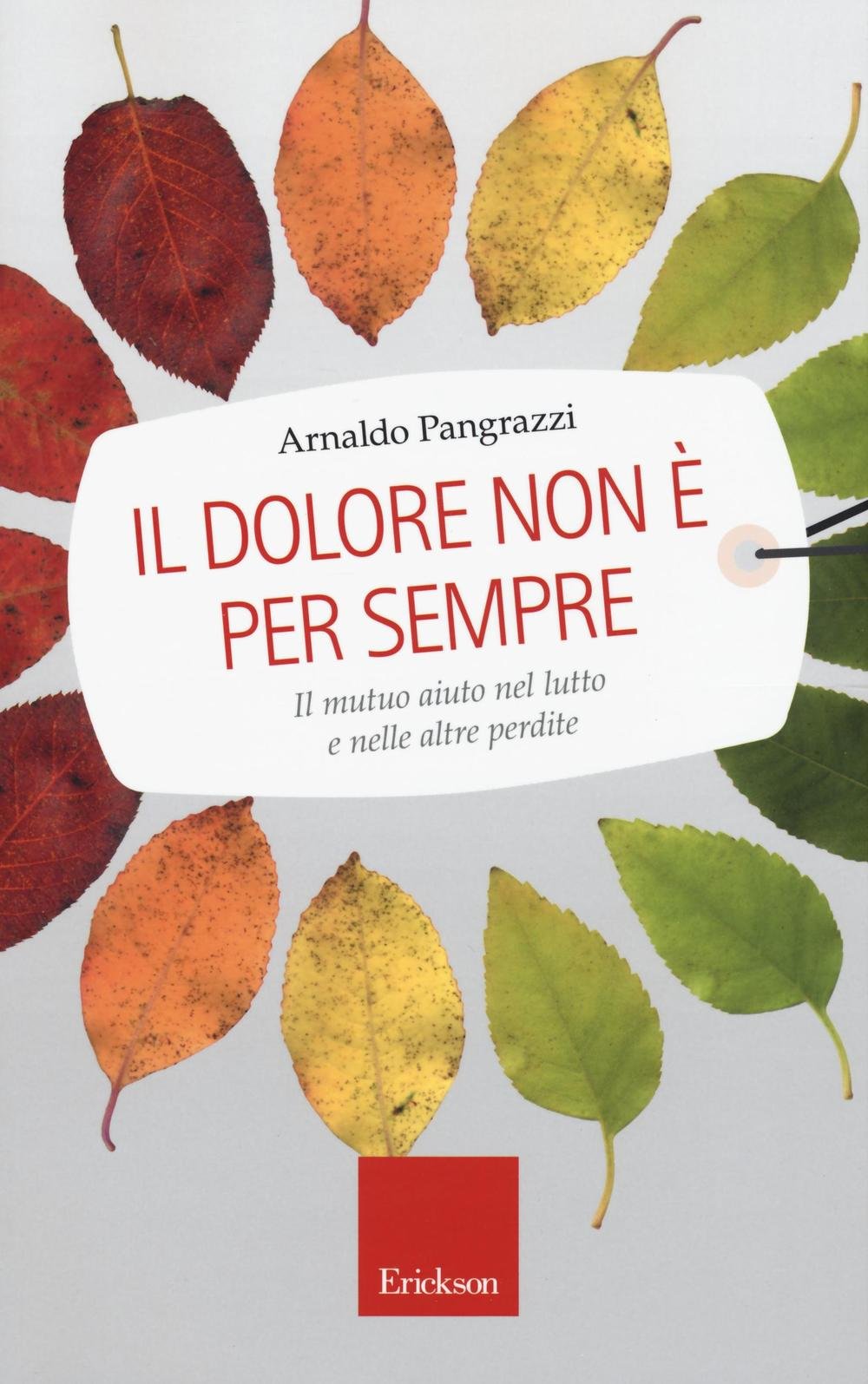 Il dolore non è per sempre. Il mutuo aiuto nel lutto e nelle altre perdite book