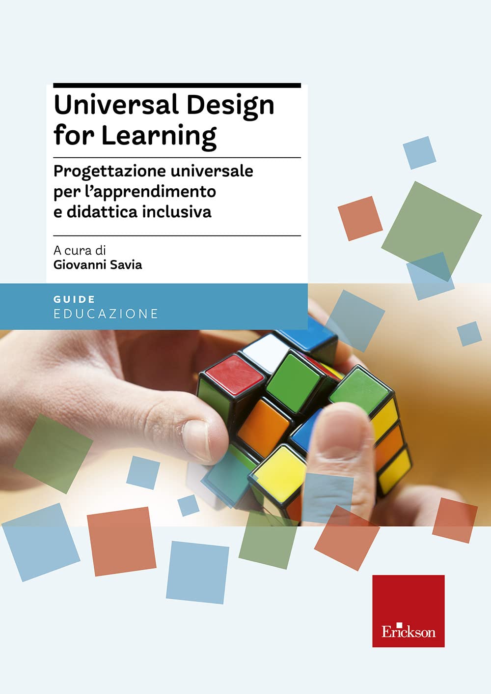 Universal Design for Learning. Progettazione universale per l'apprendimento e didattica inclusiva (Le guide Erickson) Politics & History