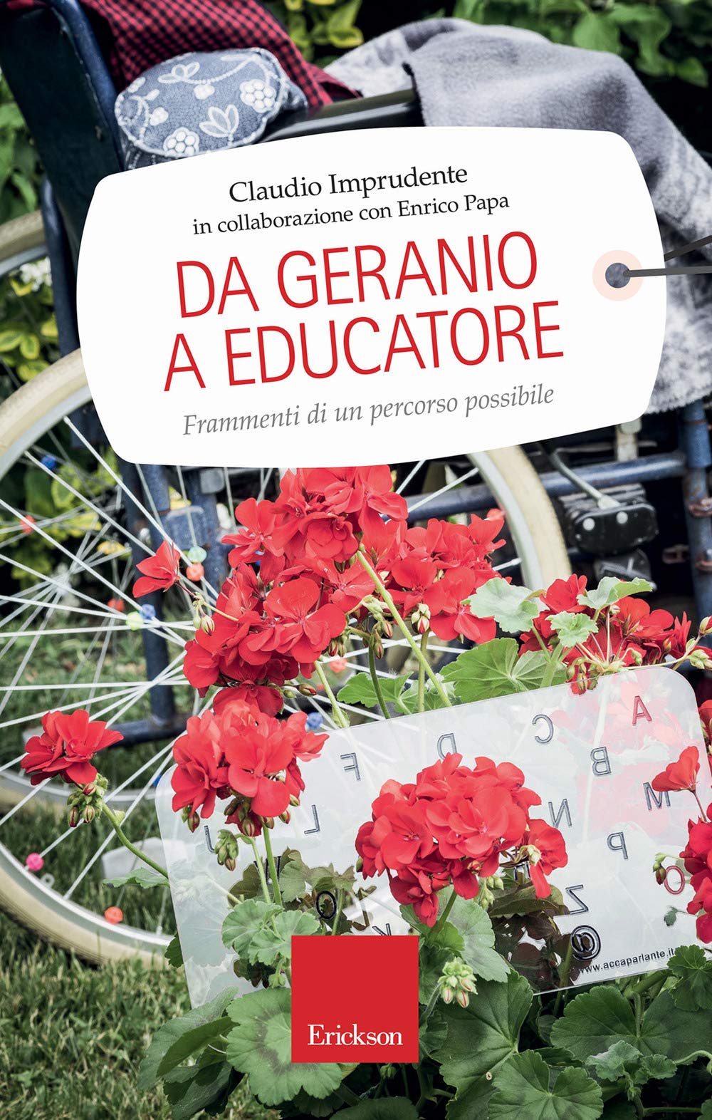 Da geranio a educatore. Frammenti di un percorso possibile book