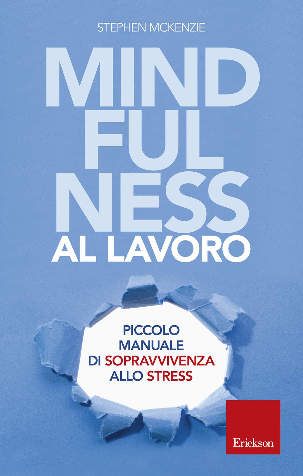 Mindfulness al lavoro. Piccolo manuale di sopravvivenza allo stress (Capire con il cuore) Business, Finance & Career