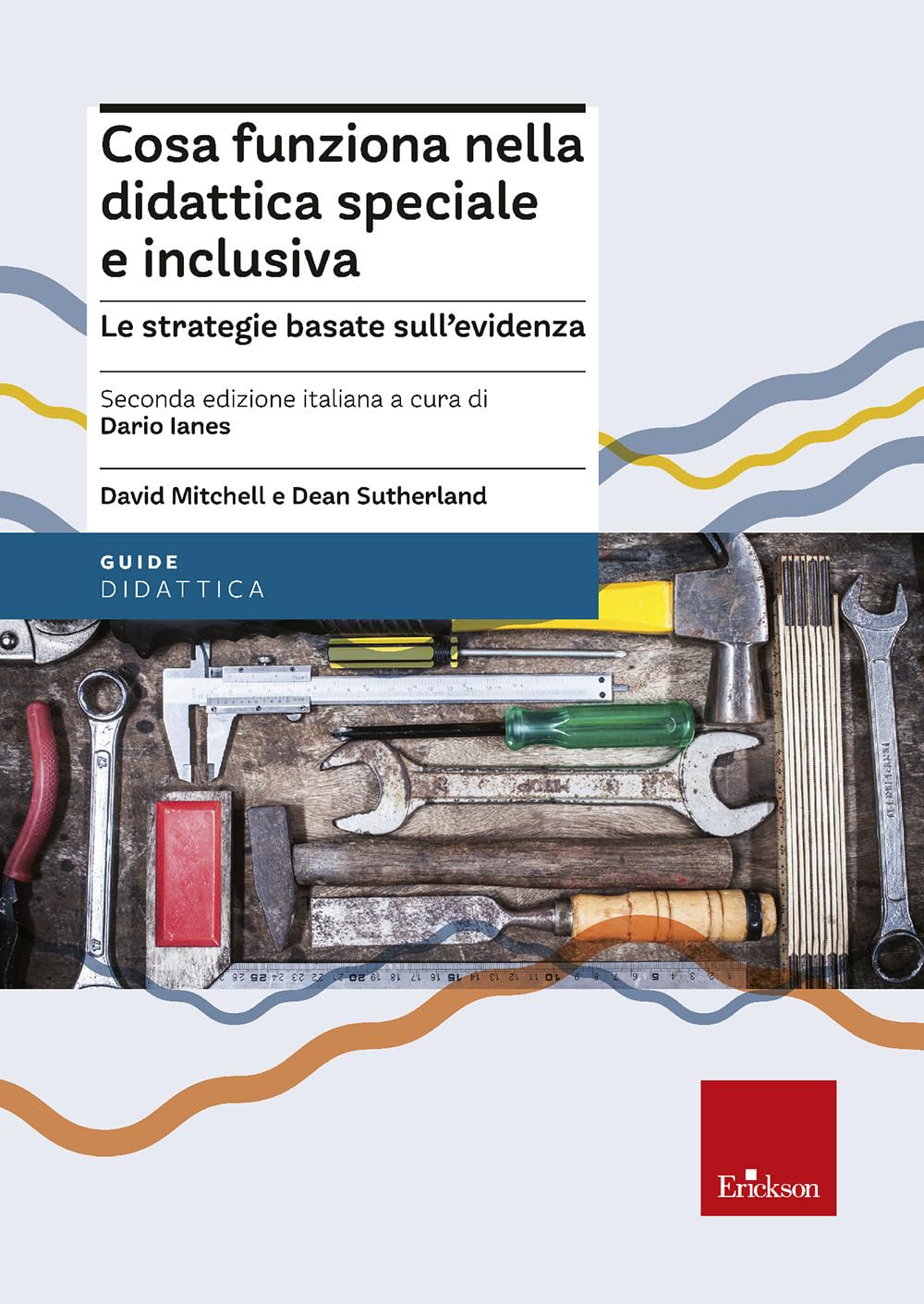 Cosa funziona nella didattica speciale e inclusiva. Le strategie basate sull’evidenza. Nuova ediz. book