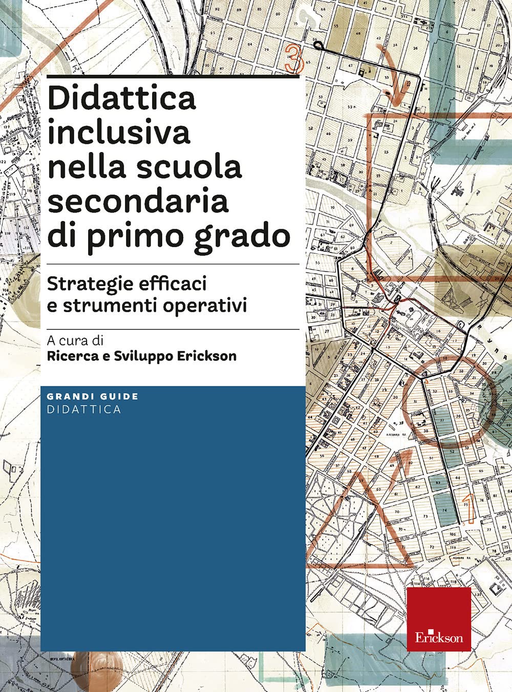 Didattica inclusiva nella scuola secondaria di primo grado. Strategie efficaci e strumenti operativi. Con Contenuto digitale per download e accesso online (Grandi guide didattica) Education & Training