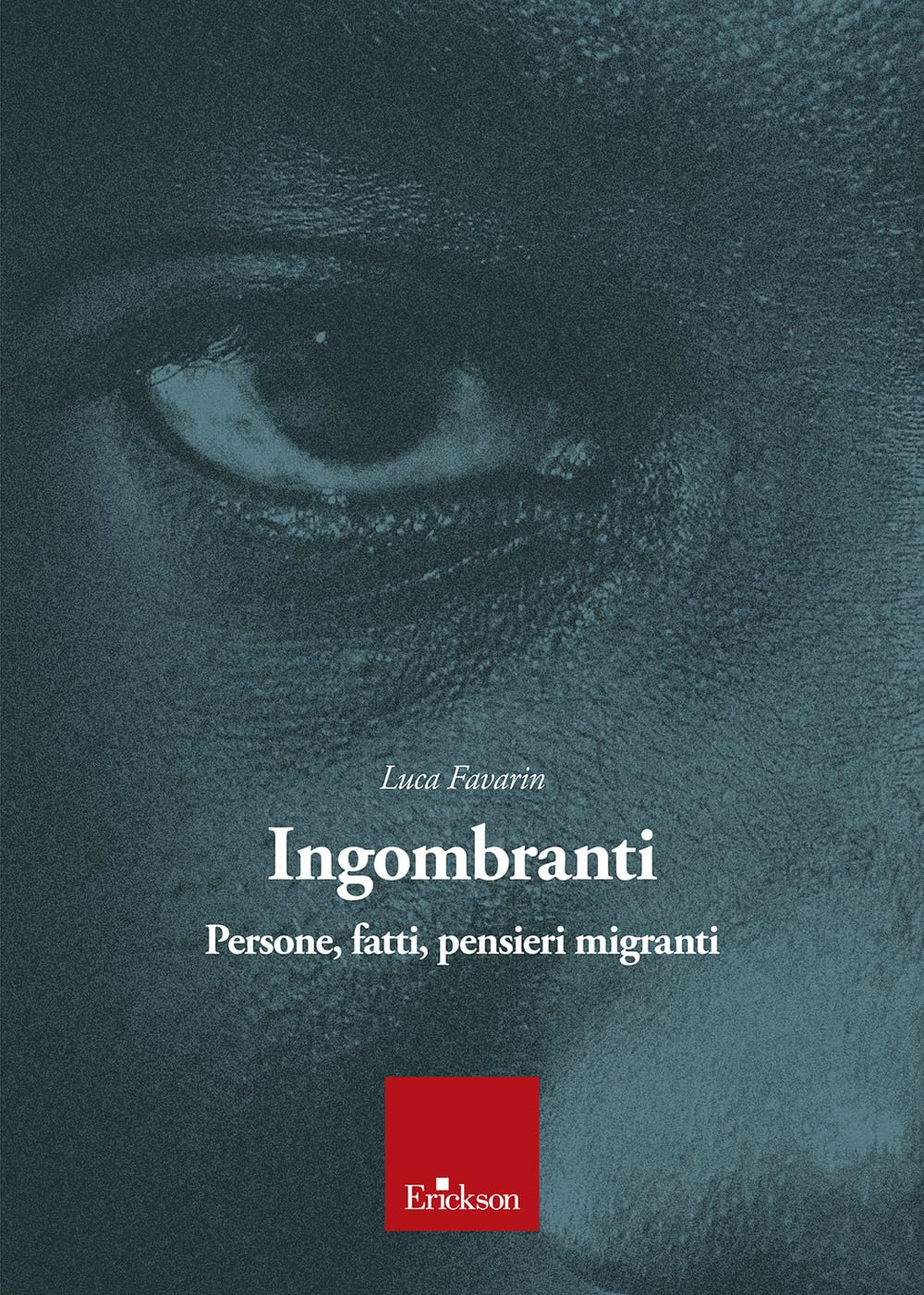 Ingombranti. Persone, fatti, pensieri migranti book